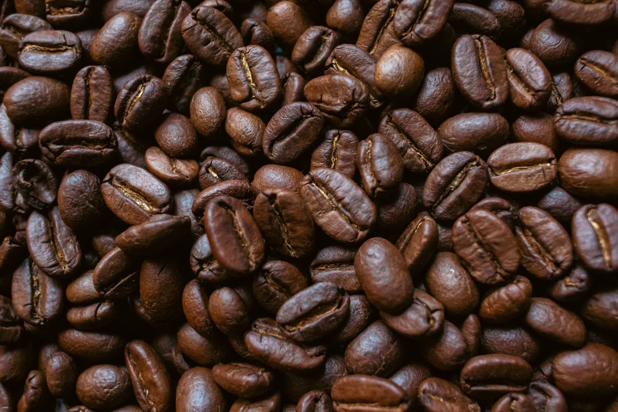 Experiencias Sensoriales