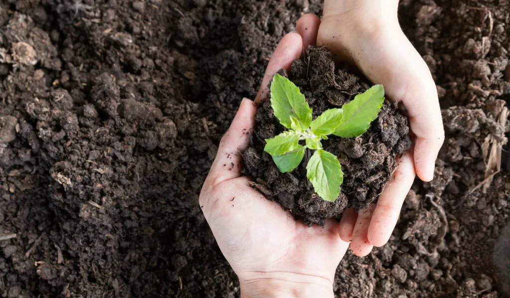 experiencias sostenibles