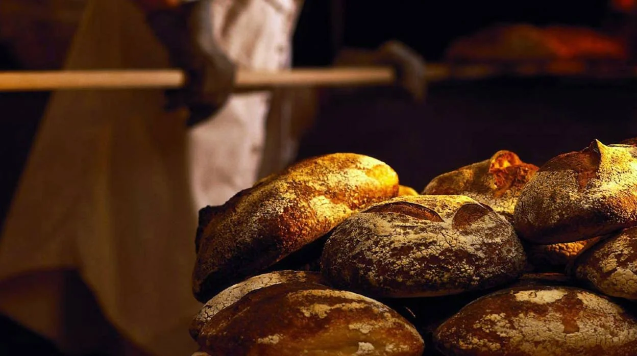 panadería cerca de mí en málaga